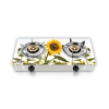 VISION NG Double Glass Gas Stove Sun Fl 3D - 892718
