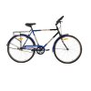 Duranta City Bike