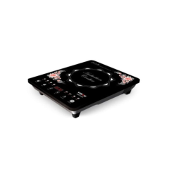 VISION INDUCTION COOKER VSN-1206-ECO