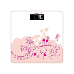 Body Weighing Scale