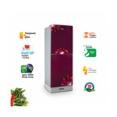VISION VISION GD REFRIGERATOR RE-252L RED FLOWER BM