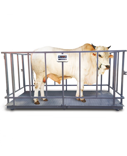 cow weight Scale Premium- Weighing Scale