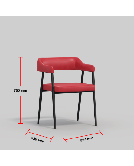 DINING/ CAFE/ VISITOR CHAIR Metal Dining/cafe/Visitor chair II CAFÉ CHAIR-201 993874