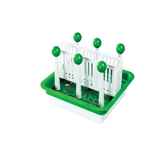 RFL  LOVELY MULTI PURPOSE GLASS STAND LIGHT GREEN