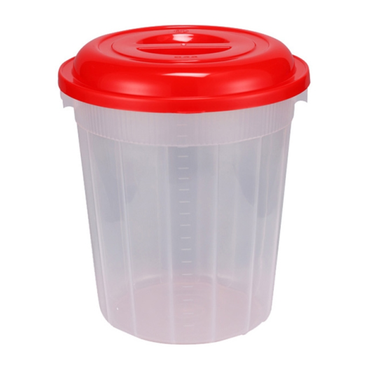 LILY STORE CONTAINER 20L TRANSPARENT
