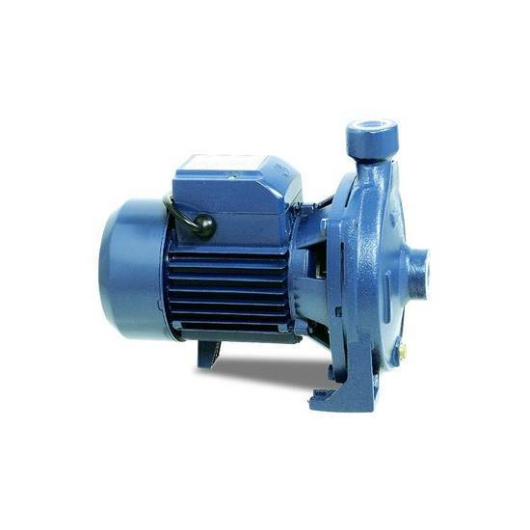 RFL Water Pump Centrifugal 1"X1"-0.5HP (RCm-130)